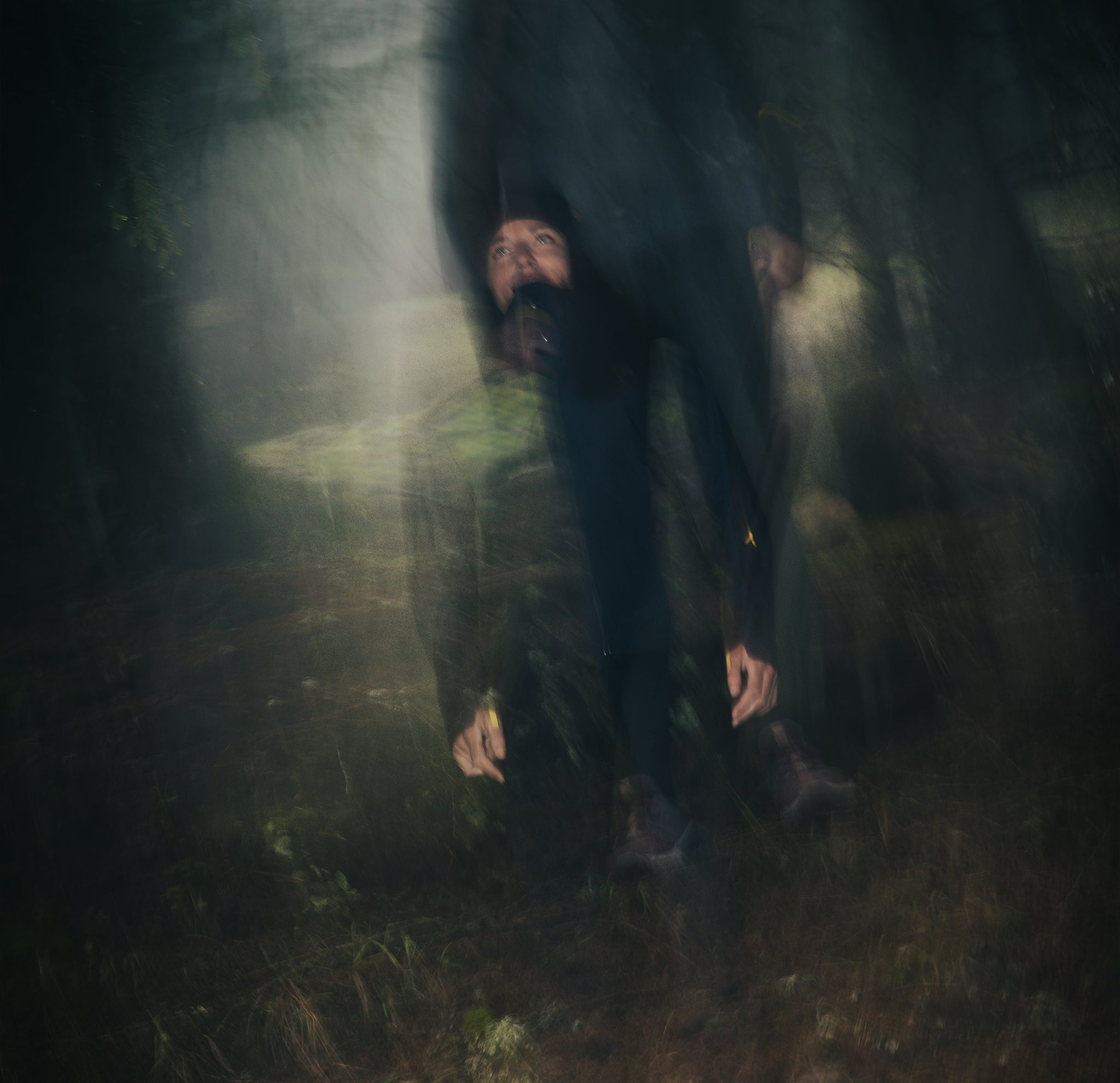 01_foret.jpg