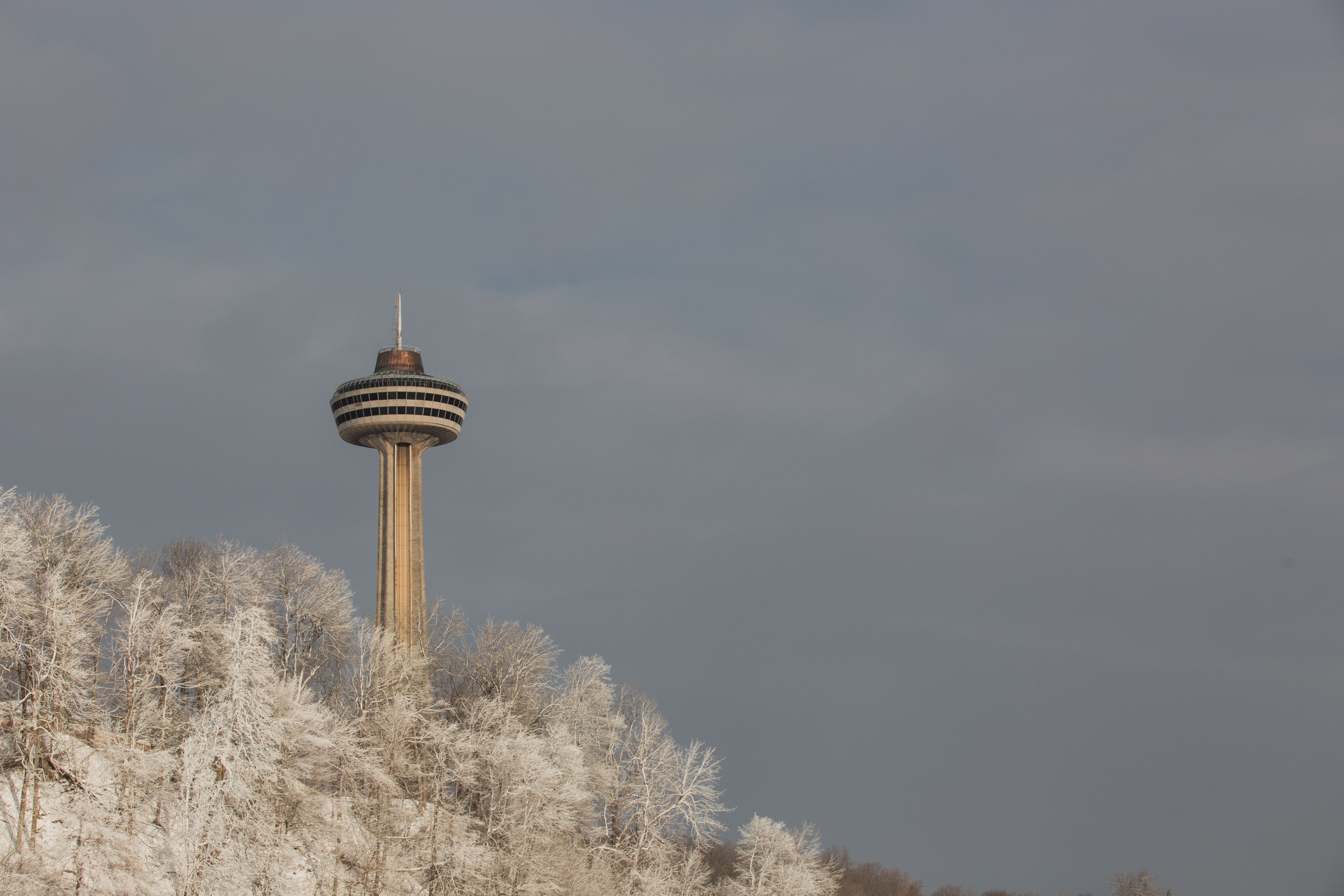 skylon-tower-and-snowy-trees.jpg