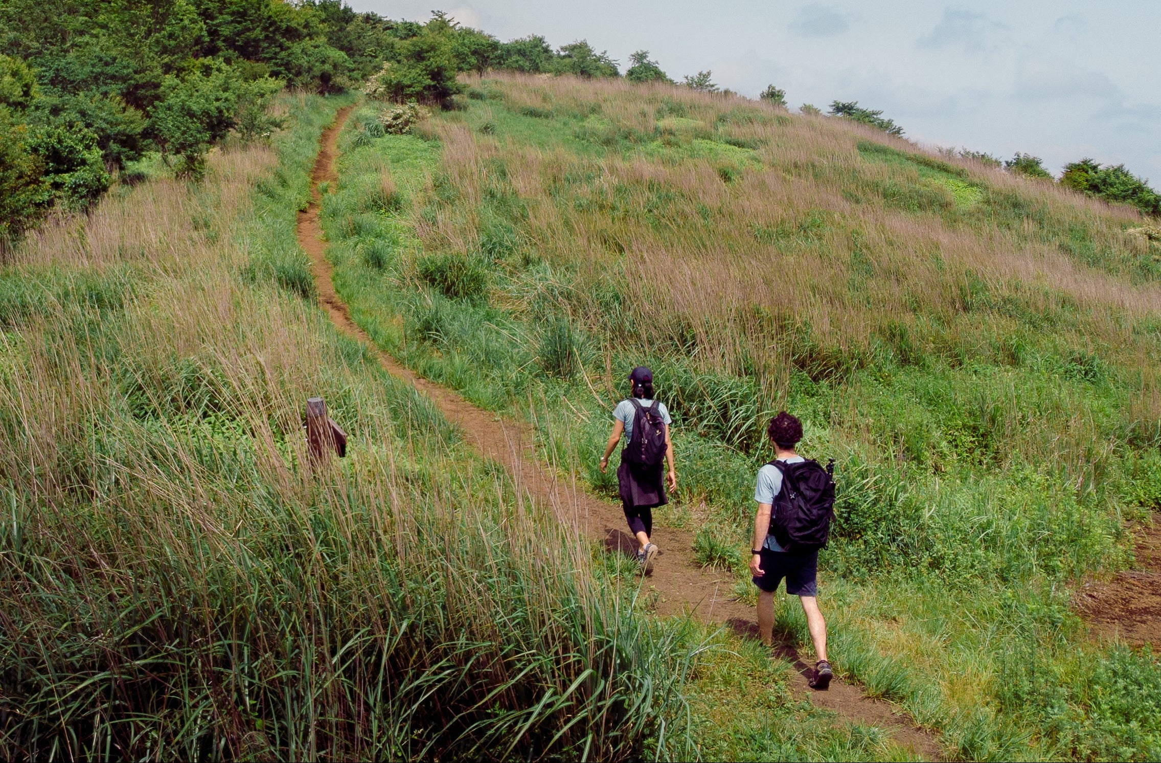 two-backpackers-taking-the-path-on-a-green-hill.jpg